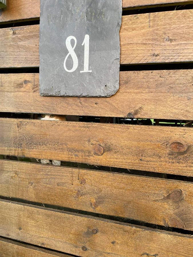 ניוטון סטיוארט Caravan Rabbit House No 81 At Three Lochs Holiday Park מראה חיצוני תמונה